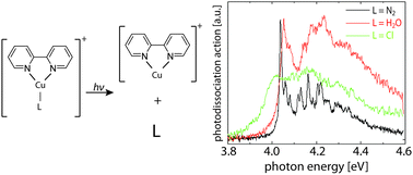 Ligand influence on the electronic spectra of monocationic copper–bipyridine complexes