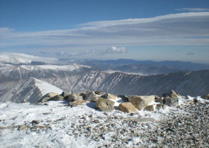 Grays&Torreys